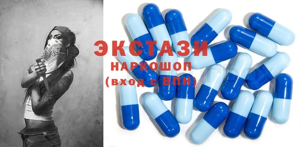 СК Новодвинск