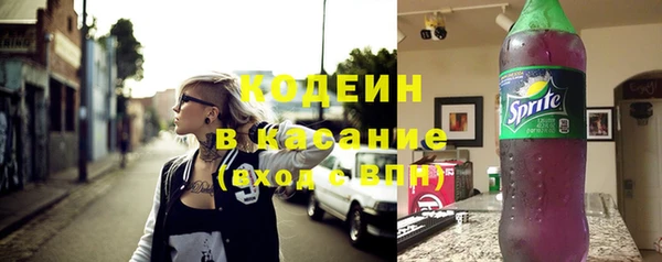 индика Нефтекумск