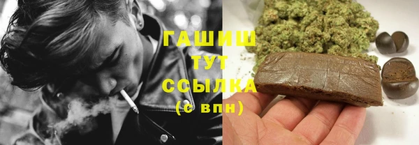 СК Новодвинск