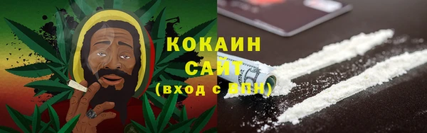 СК Новодвинск
