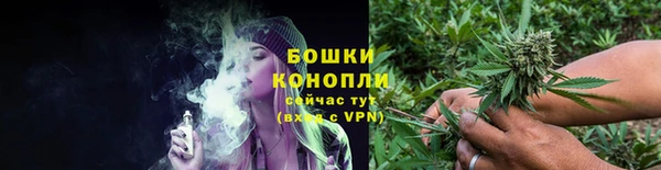 индика Нефтекумск