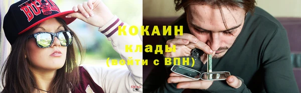 индика Нефтекумск