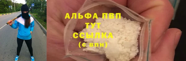СК Новодвинск