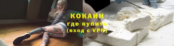 СК Новодвинск