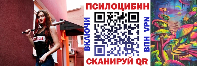 дарк нет телеграм  гидра ССЫЛКА  Власиха  Псилоцибиновые грибы Cubensis 