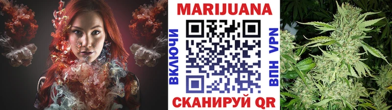 Бошки марихуана планчик  где купить наркоту  Власиха 